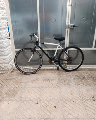 bicicletta mountain bike 