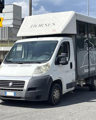 Fiat Ducato V 2006 ducato 33 MH1 2.3 mjt 120cv car