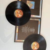 Dischi in Vinile Led Zeppelin