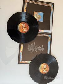 Dischi in Vinile Led Zeppelin