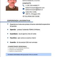 Vi mando il mio curriculum