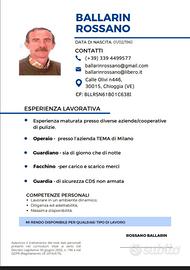 Vi mando il mio curriculum
