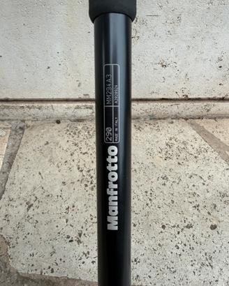 Manfrotto monopiede MM2943