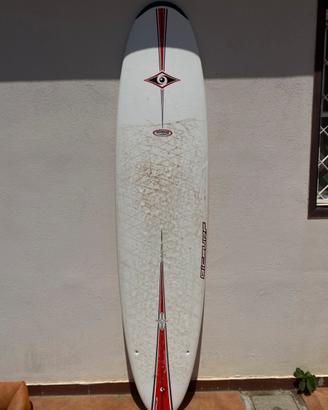 Tavola surf Bic 8.4’