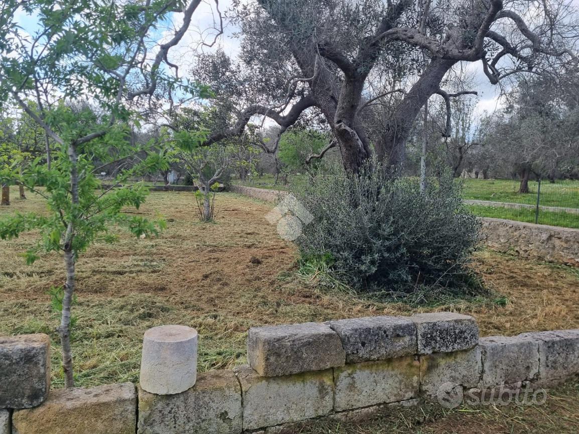 RUSTICO A FRANCAVILLA FONTANA - Vista 4