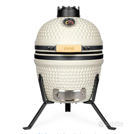 Barbecue Kamado Mini Livoo DOC330 NUOVO Mai Usato