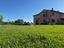 Immagine 7