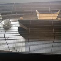 Gabbie conigli, cavie, quaglie 