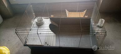 Gabbie conigli, cavie, quaglie 