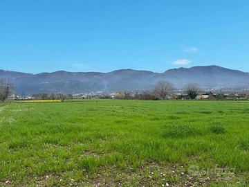 Terreno Agricolo Alife [Cod. rif 3296238VCG]
