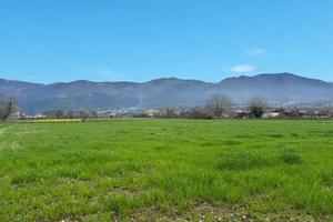 Terreno Agricolo Alife [Cod. rif 3296238VCG]