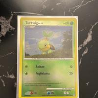 Carta pokemon tortwig edizione 2007 italiano origi