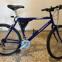 mountain bike usata