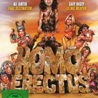 Homo erectus
