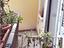 Immagine 8