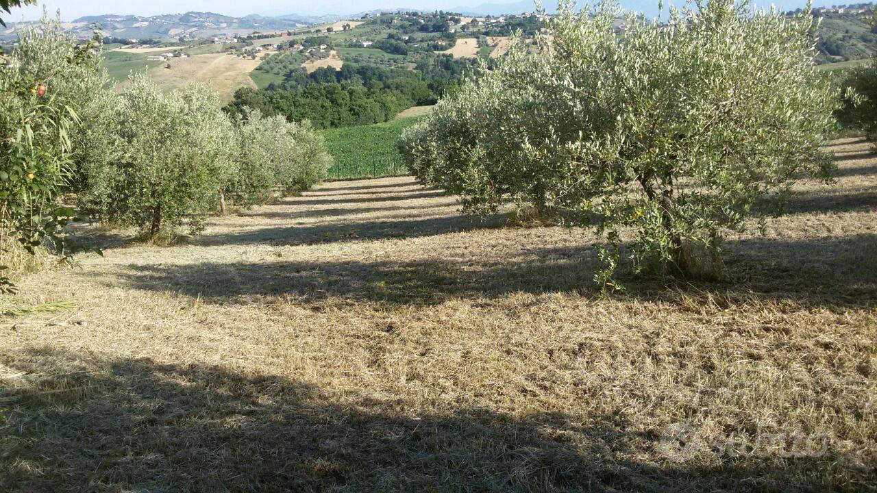 Rustico - Campli - Vista 4
