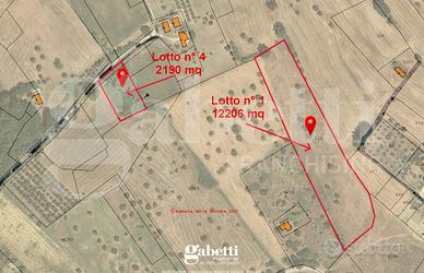 Terreno Agricolo Castel Frentano [v467VCG]