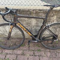 cipollini bond 2
