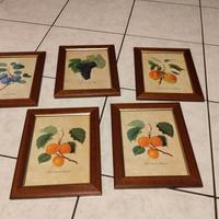 quadri frutta