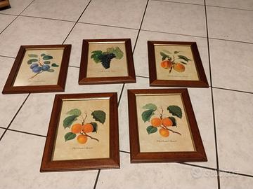 quadri frutta