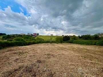 Zagarolo: terreno agricolo pianeggiante