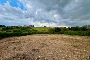 Zagarolo: terreno agricolo pianeggiante