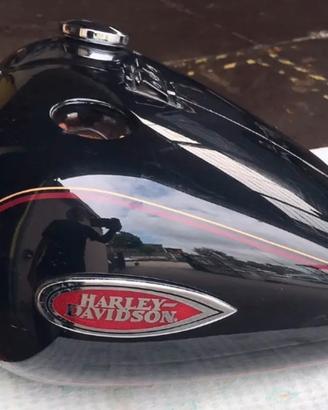Harley Davidson serbatoio FLSTS carburatore