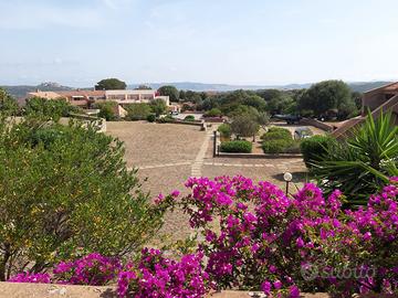 PALAU - Residence 4+2 posti vista mare - 2 piscine