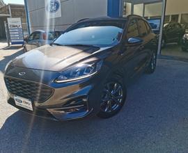 Ford Kuga 1.5 EcoBlue 120 CV 2WD ST-Line