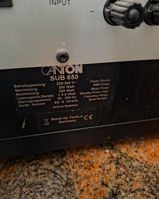 subwoofer canton