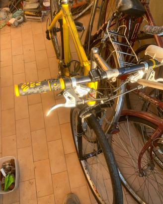 Bicicletta