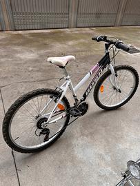 Bicicletta ragazza