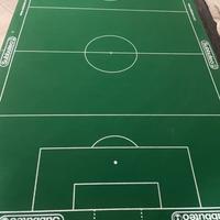 Subbuteo