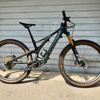 S-Works Turbo Levo SL "S2"