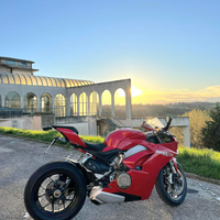 Panigale V4 base 2019