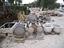 Immagine 22