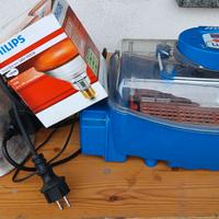 Incubatrice borotto lumia 8