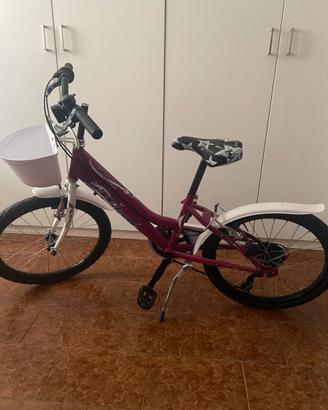 Bici Eclipse Nature