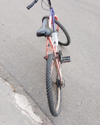 MTb. bici