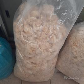 lana di pecora pulita