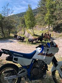 Honda dominator nx650 '89