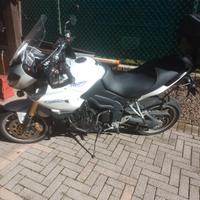 moto TRIUMPH Tiger 1050 del 2011