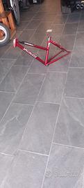 telaio mountain bike specialized