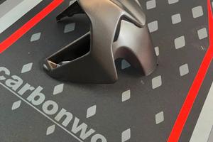 Parafango anteriore carbon Panigale Streetfighter