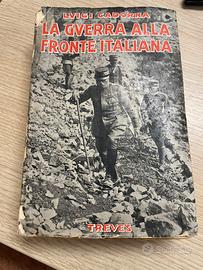 Guerra alla fronte italiana-Luigi Cadorna
