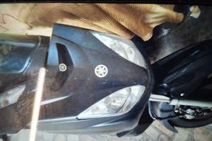 Yamaha X-Max 250 - 2007