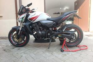 Honda Hornet 