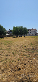 Terreno Edificabile Fiumicino