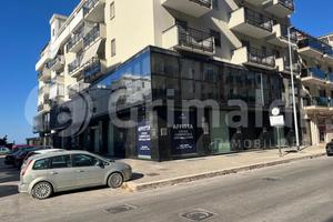 Negozio Trani [Cod. rif 3247703ACG]