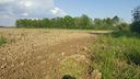 terreno-agricolo-di-75-000-mq-a-mogliano-veneto